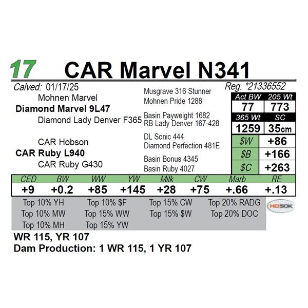 CAR Marvel N341