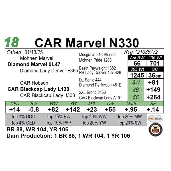 CAR Marvel N330