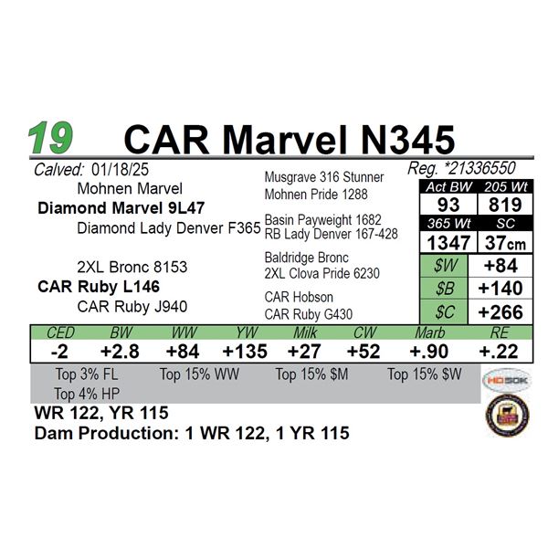 CAR Marvel N345