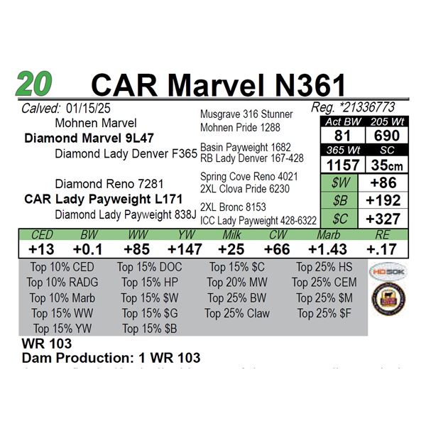 CAR Marvel N361