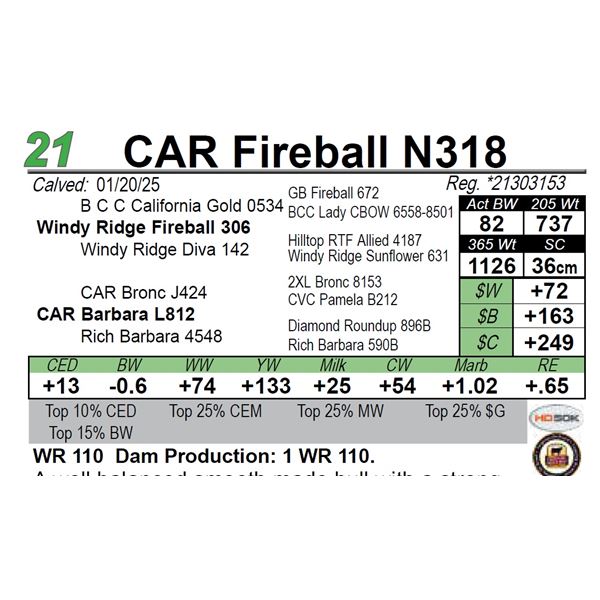 CAR Fireball N318
