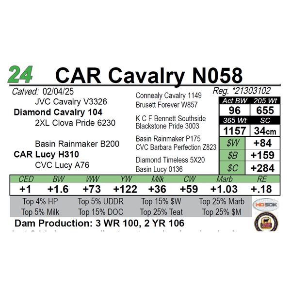 CAR Cavalry N058