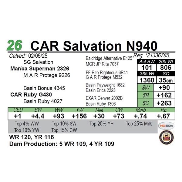 CAR Salvation N940