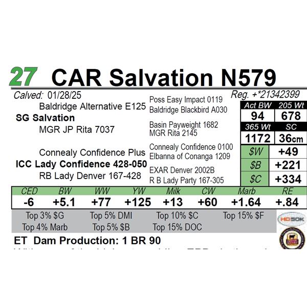 CAR Salvation N579