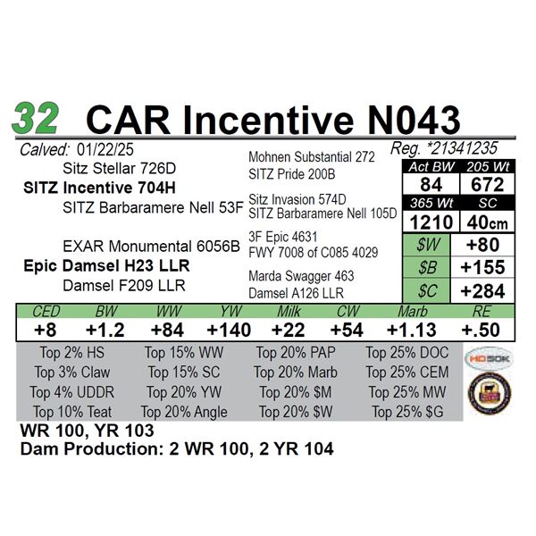 CAR Incentive N043
