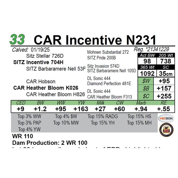 CAR Incentive N231