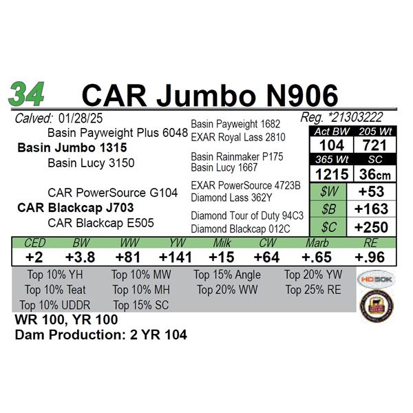 CAR Jumbo N906
