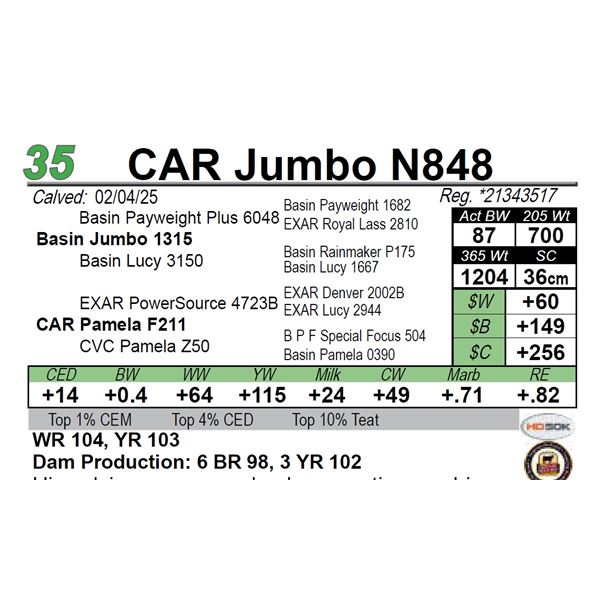 CAR Jumbo N848