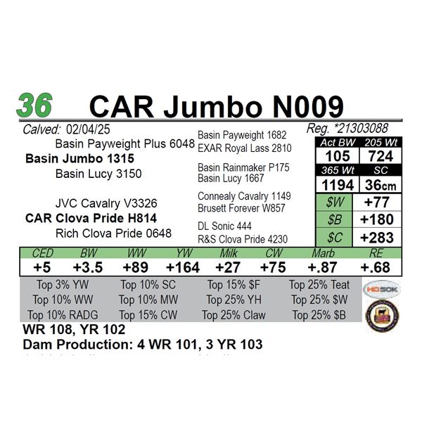 CAR Jumbo N009