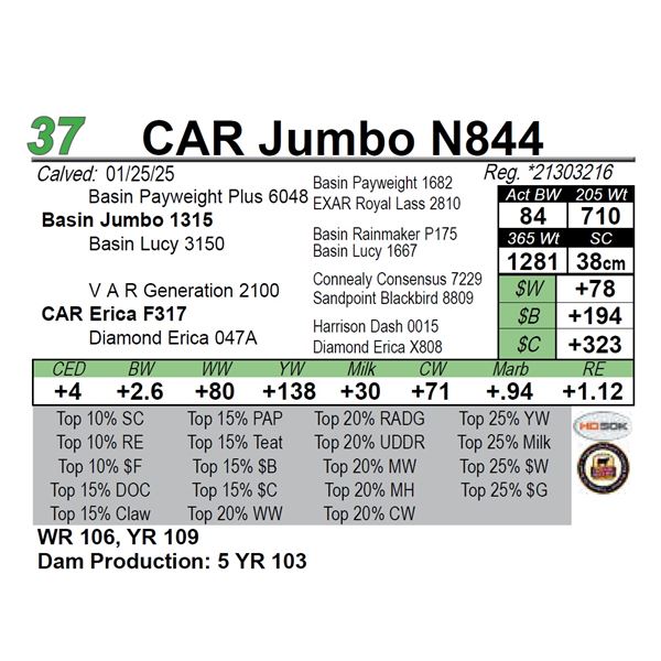 CAR Jumbo N844