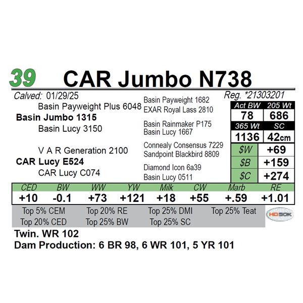 CAR Jumbo N738