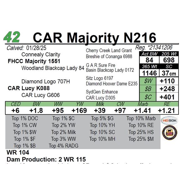 CAR Majority N216