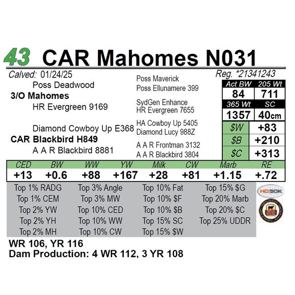 CAR Mahomes N031