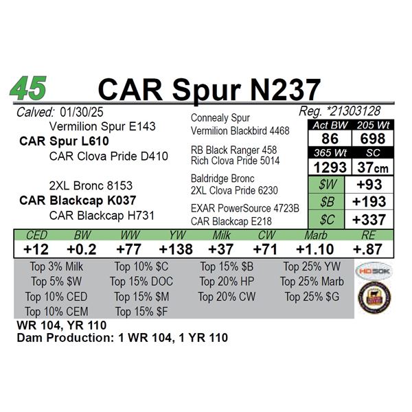 CAR Spur N237