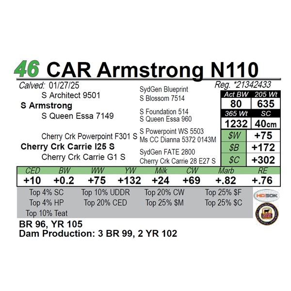 CAR Armstrong N110