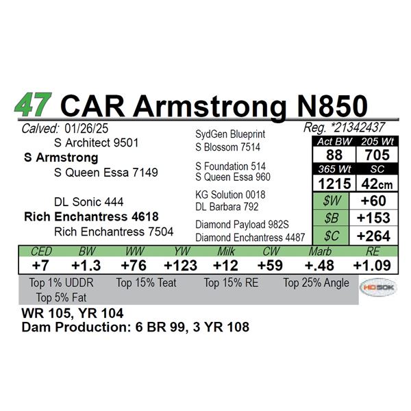 CAR Armstrong N850
