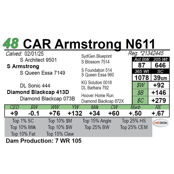 CAR Armstrong N611