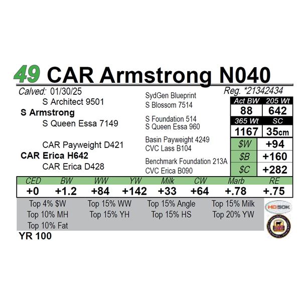 CAR Armstrong N040