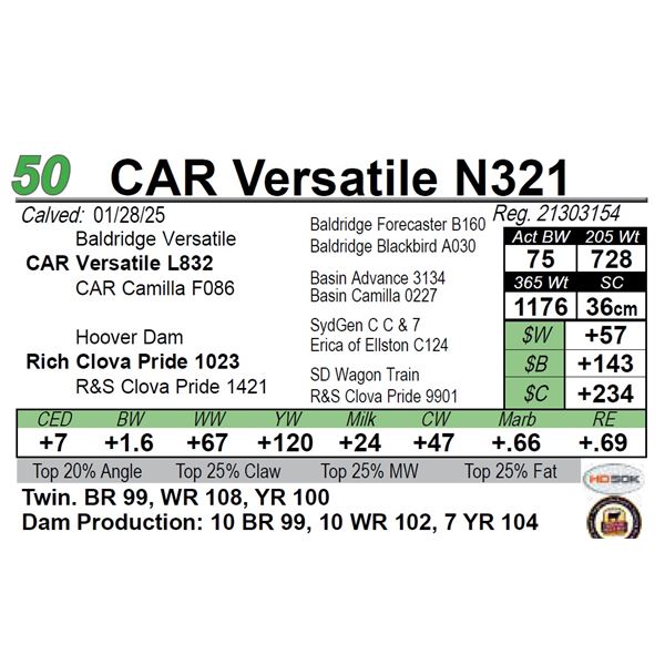 CAR Versatile N321