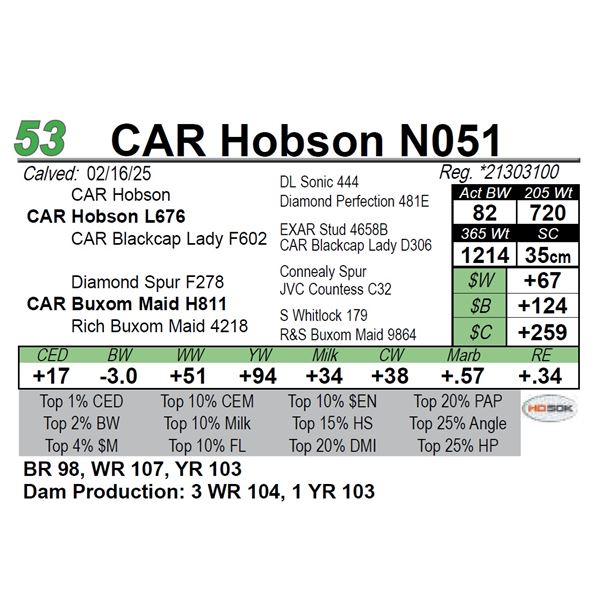 CAR Hobson N051