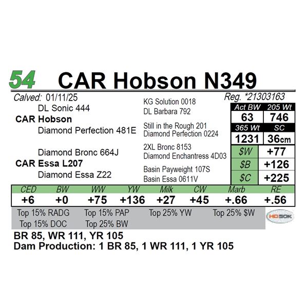 CAR Hobson N349