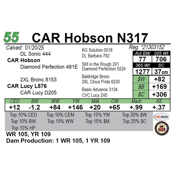 CAR Hobson N317