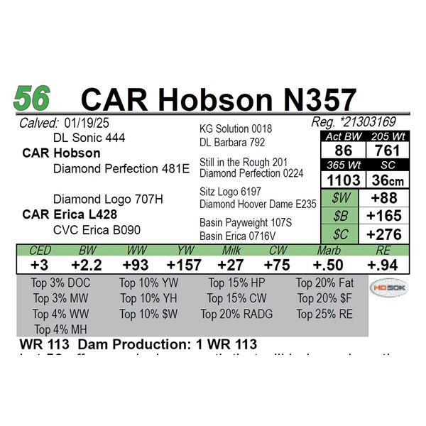 CAR Hobson N357