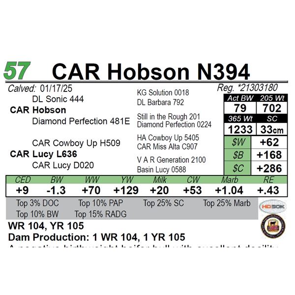 CAR Hobson N394
