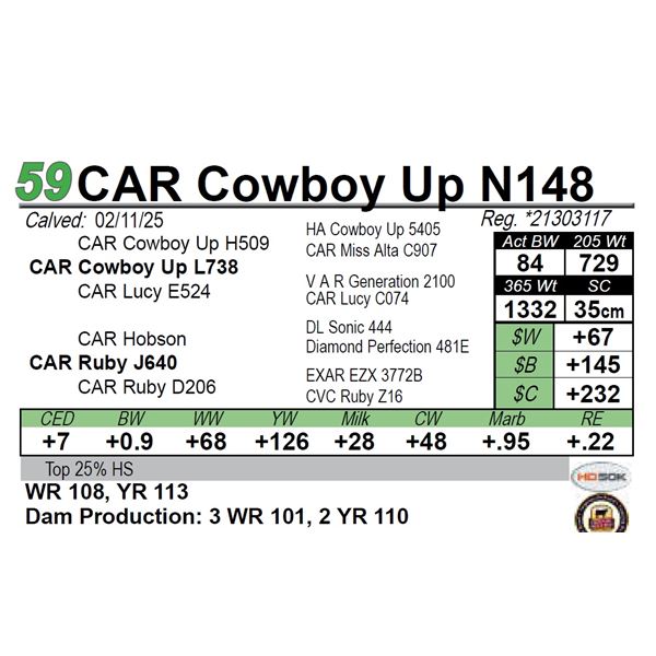 CAR Cowboy Up N148