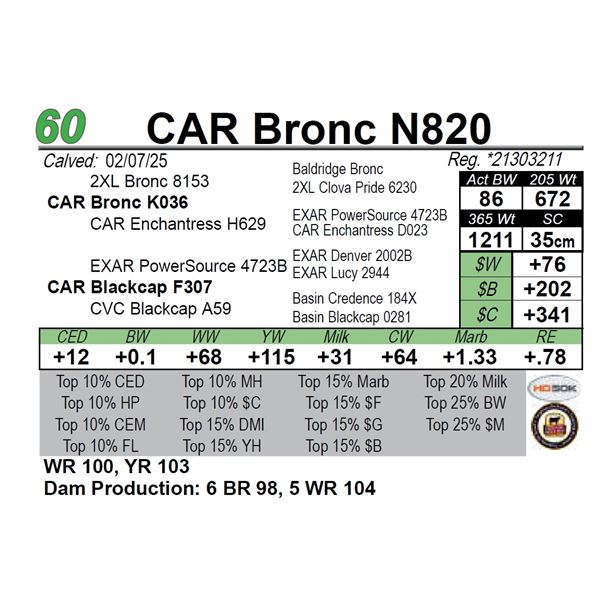 CAR Bronc N820
