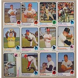 LOT OF 12 1973 TOPPS BASEBALL CARDS - Incl. Steve 