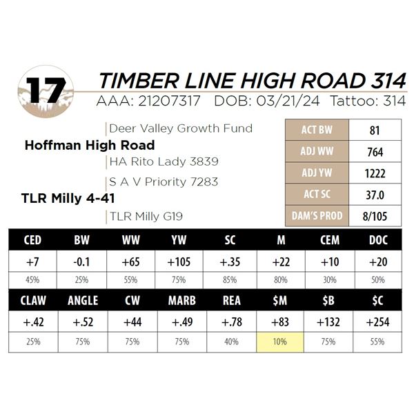 TIMBER LINE HIGH ROAD 314