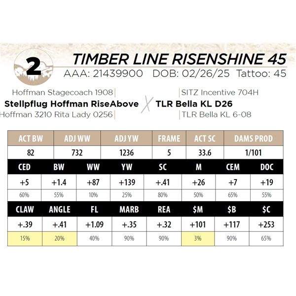 TIMBER LINE RISENSHINE 45