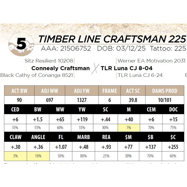 TIMBER LINE CRAFTSMAN 225
