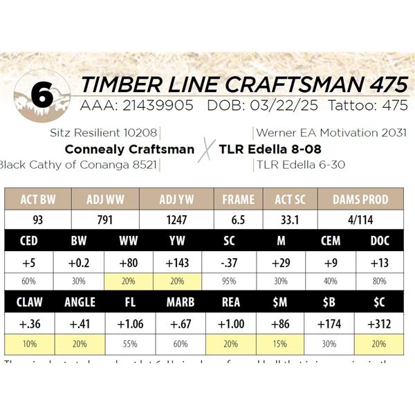 TIMBER LINE CRAFTSMAN 475