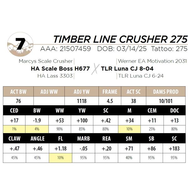TIMBER LINE CRUSHER 275