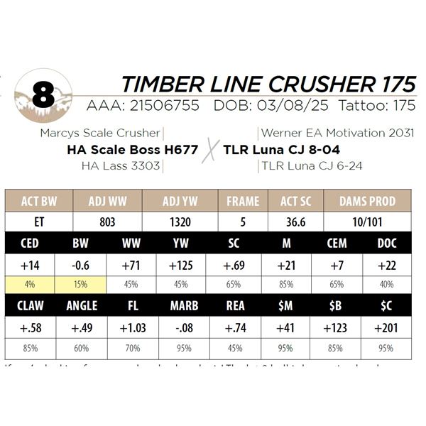 TIMBER LINE CRUSHER 175