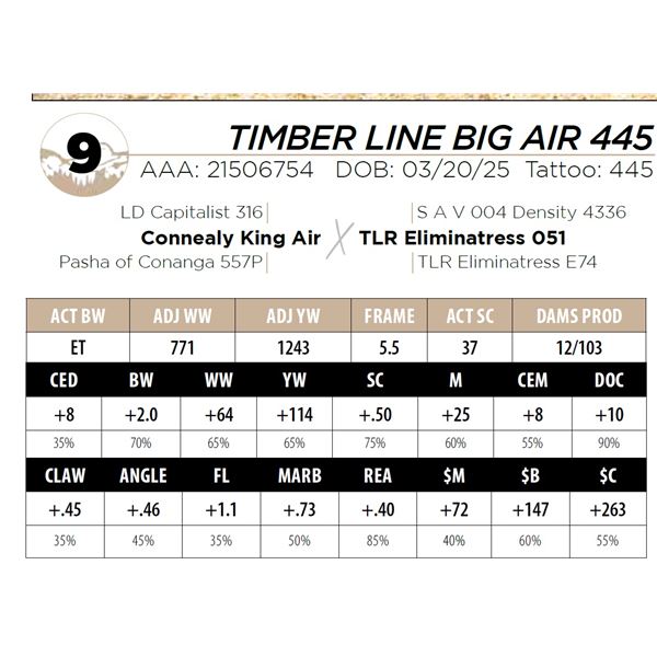 TIMBER LINE BIG AIR 445