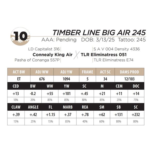 TIMBER LINE BIG AIR 245