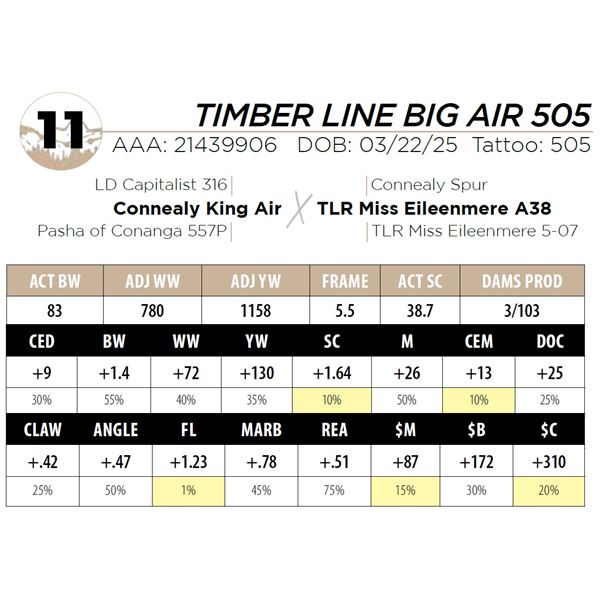 TIMBER LINE BIG AIR 505