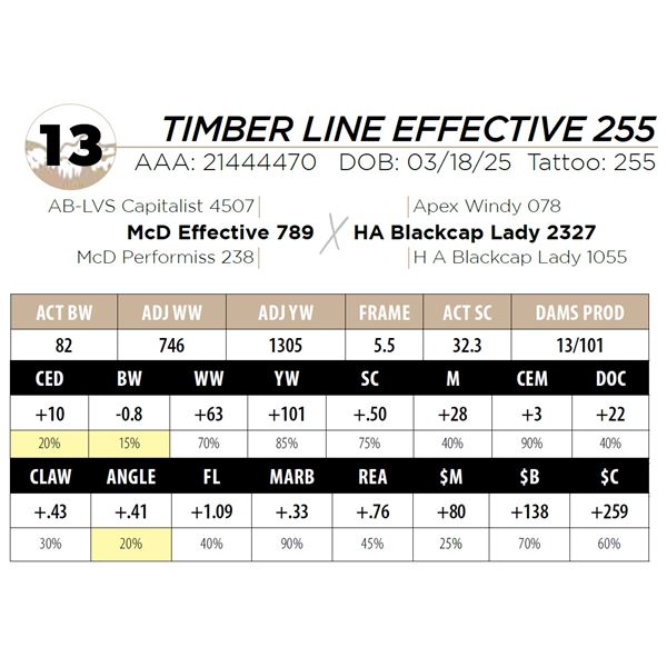 TIMBER LINE EFFECTIVE 255