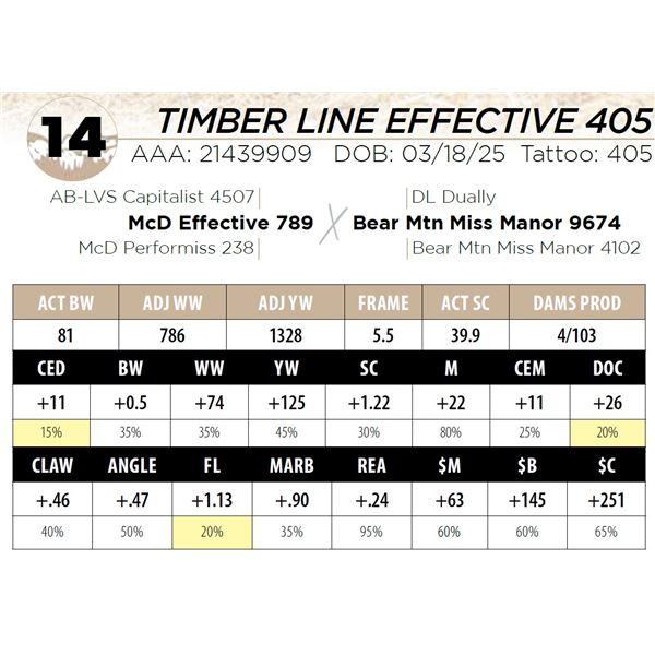 TIMBER LINE EFFECTIVE 405