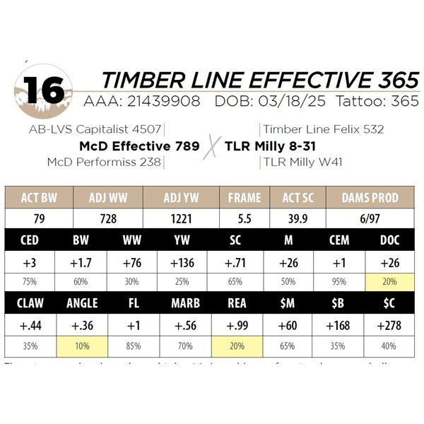 TIMBER LINE EFFECTIVE 365