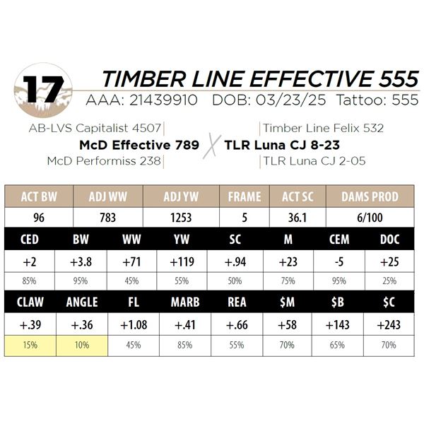 TIMBER LINE EFFECTIVE 555