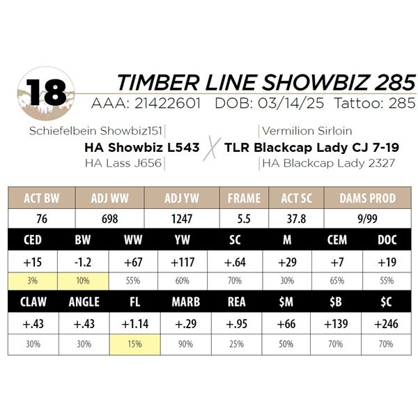TIMBER LINE SHOWBIZ 285