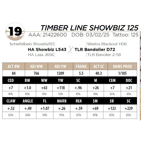TIMBER LINE SHOWBIZ 125