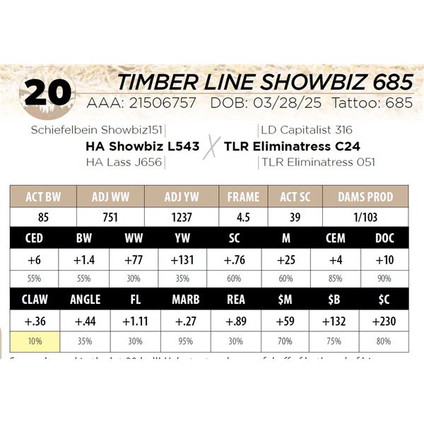 TIMBER LINE SHOWBIZ 685