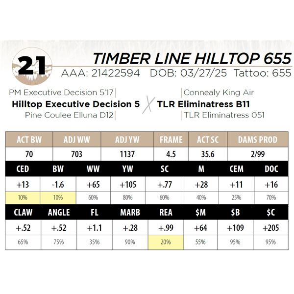 TIMBER LINE HILLTOP 655