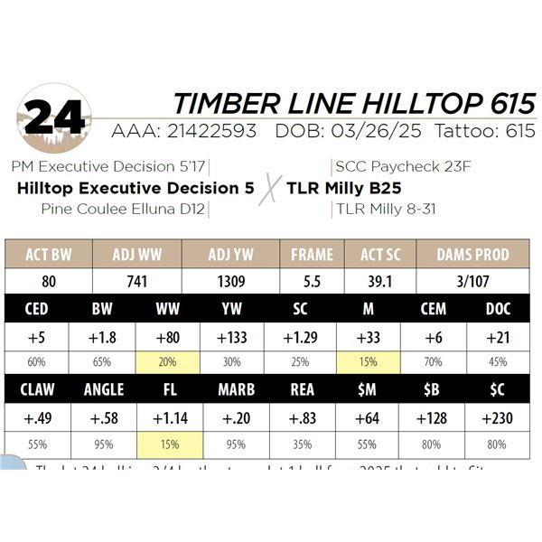 TIMBER LINE HILLTOP 615