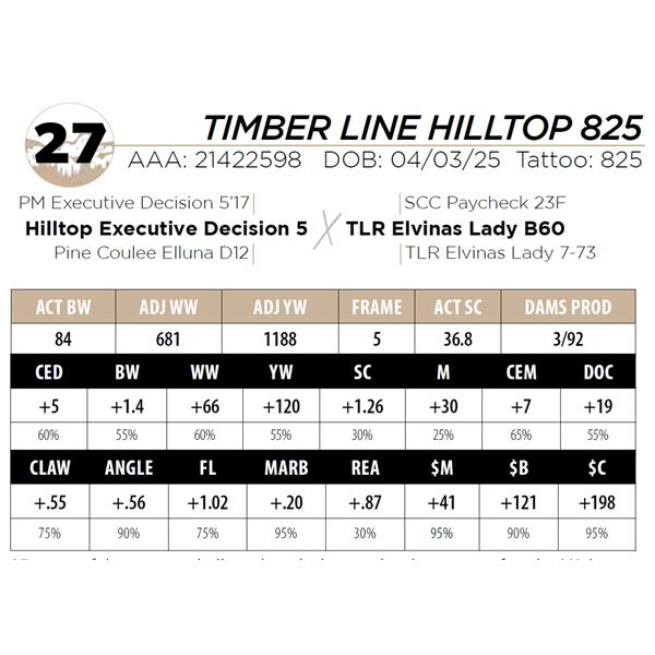 TIMBER LINE HILLTOP 825